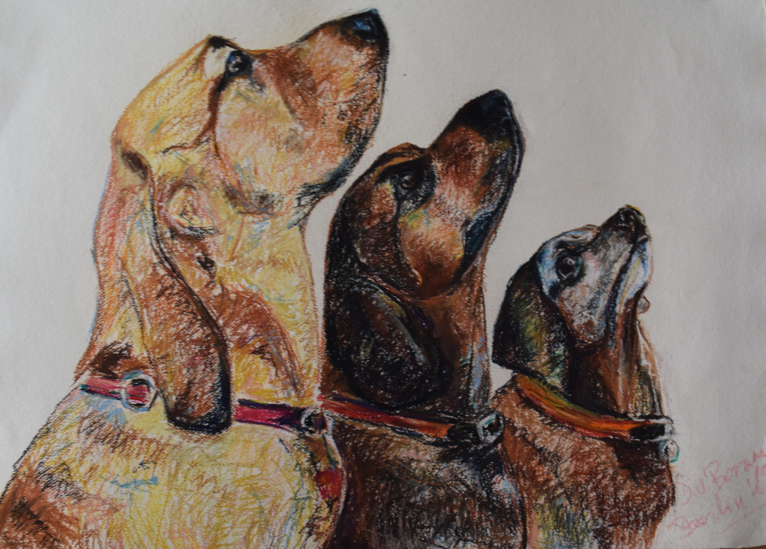 Pastel chalk on paper